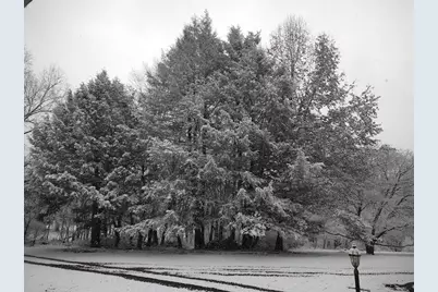 143 Gracie Lane, Adams Township, PA 16046 - Photo 34