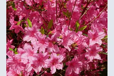 143 Gracie Lane, Adams Township, PA 16046 - Photo 44