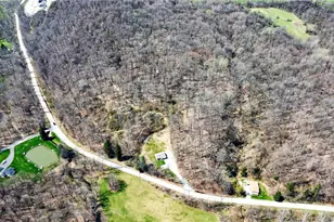 2523 Union Valley Rd, Wampum, PA 16157 - Photo 28