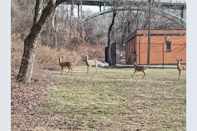 751 Naylor St, Pittsburgh, PA 15207 - Photo 34