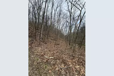 0 Coal Bank Hollow Rd, Bethel Township, PA 16226 - Photo 6