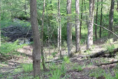 5450 Route 711, Fairfeld Township, PA 15944 - Photo 20