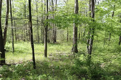 5450 Route 711, Fairfeld Township, PA 15944 - Photo 18