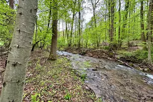 999 Solomon Temple Rd, Unity Township, PA 15650 - Photo 6