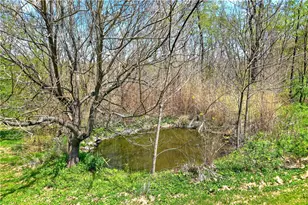 116 Dutchtown Rd, Sewickley Township, PA 15637 - Photo 4