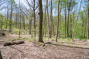145 McClain Rd, Chippewa Township, PA 15010 - Photo 40