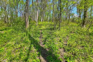 950 Davis School Rd, South Strabane, PA 15301 - Photo 40