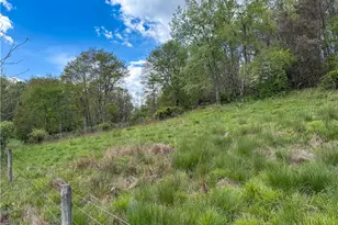 401 Beefalo Rd, Kittanning, PA 16226 - Photo 40