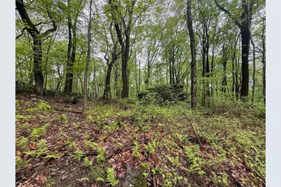 0 Macey Rd, Unity Township, PA 15650 - Photo 4