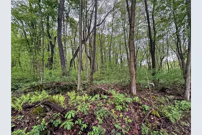 0 Macey Rd, Unity Township, PA 15650 - Photo 8