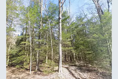 00 Stagers Rd, , PA 15958 - Photo 6