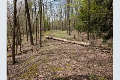 435 Daubenspeck Rd, Parker Township, PA 16049 - Photo 8