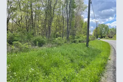 0 Mercer Road, Delaware Township, PA 16125 - Photo 1