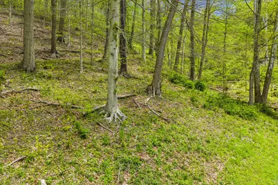 2955 Pine Grove Road, Industry, PA 15052 - Photo 32