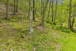 2955 Pine Grove Rd, Industry, PA 15052 - Photo 32