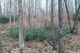 Rd# 1 Melcroftroad Melcroft, Saltlick Township, PA 15462 - Photo 1