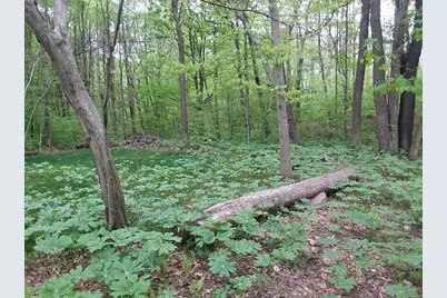 Rd# 1 Melcroftroad Melcroft, Saltlick Township, PA 15462 - Photo 8