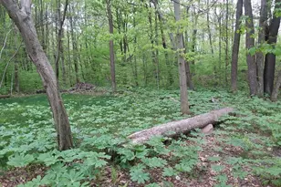 Rd# 1 Melcroftroad Melcroft, Saltlick Township, PA 15462 - Photo 8