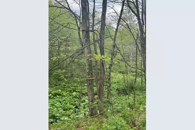 0 Grove Rd, Quemahoning Township, PA 15563 - Photo 28