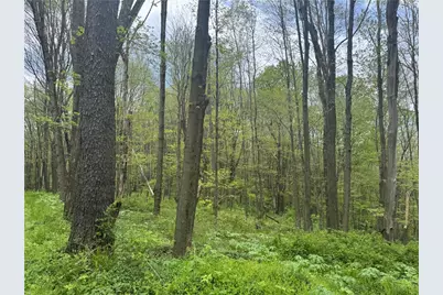 0 Grove Rd, Quemahoning Township, PA 15563 - Photo 34