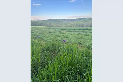 0 Grove Rd, Quemahoning Township, PA 15563 - Photo 20