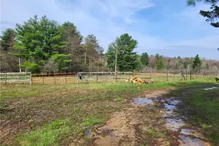 50 Laurel, Leeper, PA 16233 - Photo 14