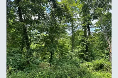 0 Mustard Lane, Springhill Township, PA 15451 - Photo 6