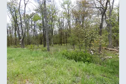 Lot 79 Hawks Nest Rd, Allegheny Township, PA 15926 - Photo 4