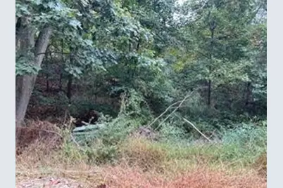 0 Off Droz Lot #2 Beck Plan, Economy, PA 15005 - Photo 2