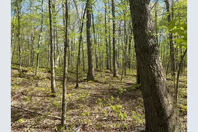 Lot 3 & 4 Killarney Road, Springfield Township, PA 15464 - Photo 4