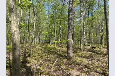 Lot 3 & 4 Killarney Road, Springfield Township, PA 15464 - Photo 24