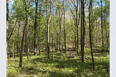 Lot 3 & 4 Killarney Road, Springfield Township, PA 15464 - Photo 24