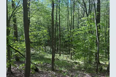 Lot 3 & 4 Killarney Road, Springfield Township, PA 15464 - Photo 6