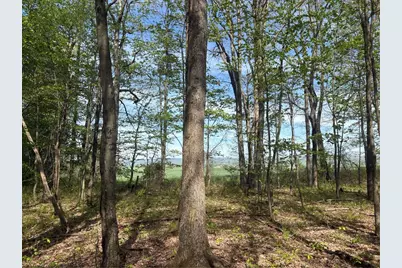 Lot 3 & 4 Killarney Road, Springfield Township, PA 15464 - Photo 18