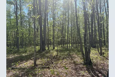Lot 3 & 4 Killarney Road, Springfield Township, PA 15464 - Photo 14