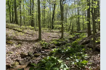 Lot 3 & 4 Killarney Road, Springfield Township, PA 15464 - Photo 10