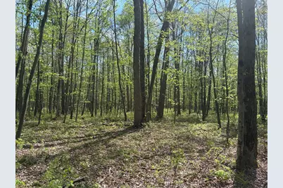 Lot 3 & 4 Killarney Road, Springfield Township, PA 15464 - Photo 16