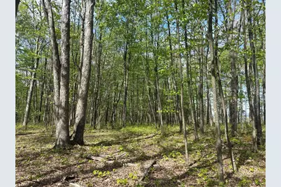 Lot 3 & 4 Killarney Road, Springfield Township, PA 15464 - Photo 22