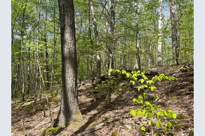 Lot 3 & 4 Killarney Road, Springfield Township, PA 15464 - Photo 22