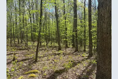 Lot 3 & 4 Killarney Road, Springfield Township, PA 15464 - Photo 28