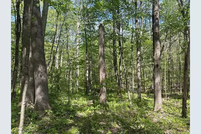 Lot 3 & 4 Killarney Road, Springfield Township, PA 15464 - Photo 26
