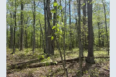 Lot 3 & 4 Killarney Road, Springfield Township, PA 15464 - Photo 1