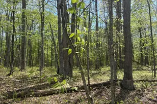Lot 3 & 4 Killarney Rd, Springfield Township, PA 15464 - Photo 1