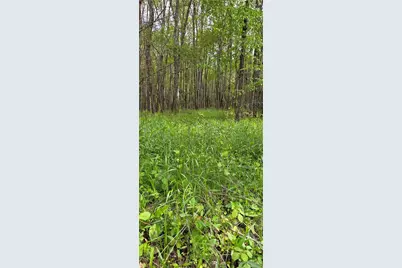 258 Allen Rd, Irwin Township, PA 16342 - Photo 6