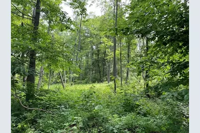 Lot 4 Cranberry Road, Lower Turkeyfoot Township, PA 15424 - Photo 1