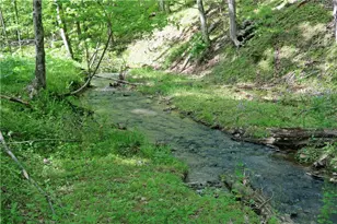 388 Bortz Rd, Loyalhanna, PA 15681 - Photo 44