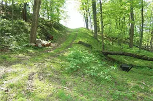 388 Bortz Rd, Loyalhanna, PA 15681 - Photo 48