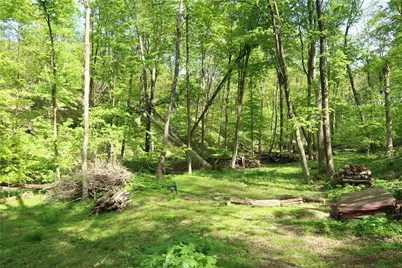 388 Bortz Road, Loyalhanna, PA 15681 - Photo 46