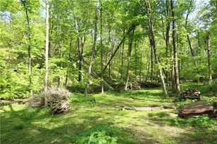 388 Bortz Rd, Loyalhanna, PA 15681 - Photo 46
