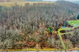 0 Swearingen, Hanover Township, PA 15043 - Photo 4